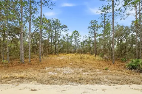 11388 Thames Avenue Brooksville FL 34614