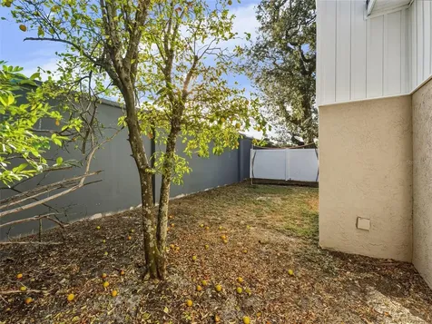 4016 W Nassau Street Tampa FL 33607