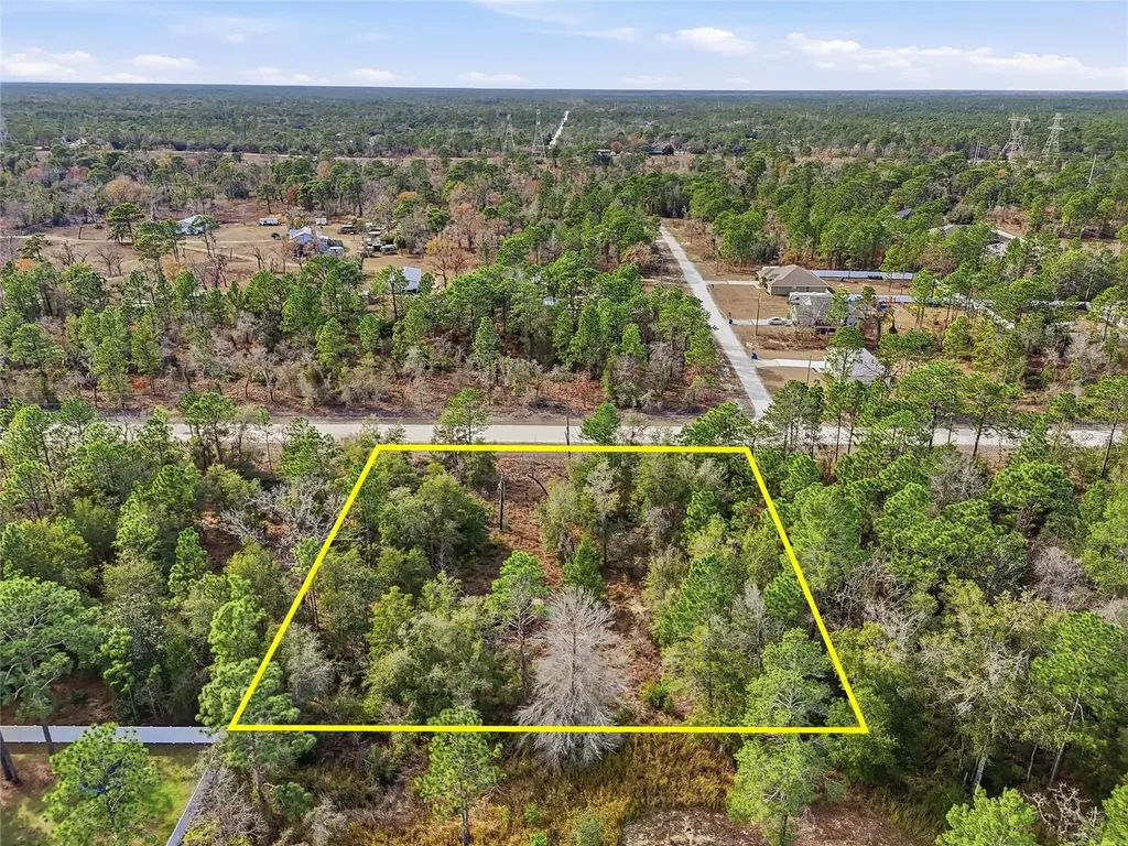 Chimney Swift Road Weeki Wachee FL 34614