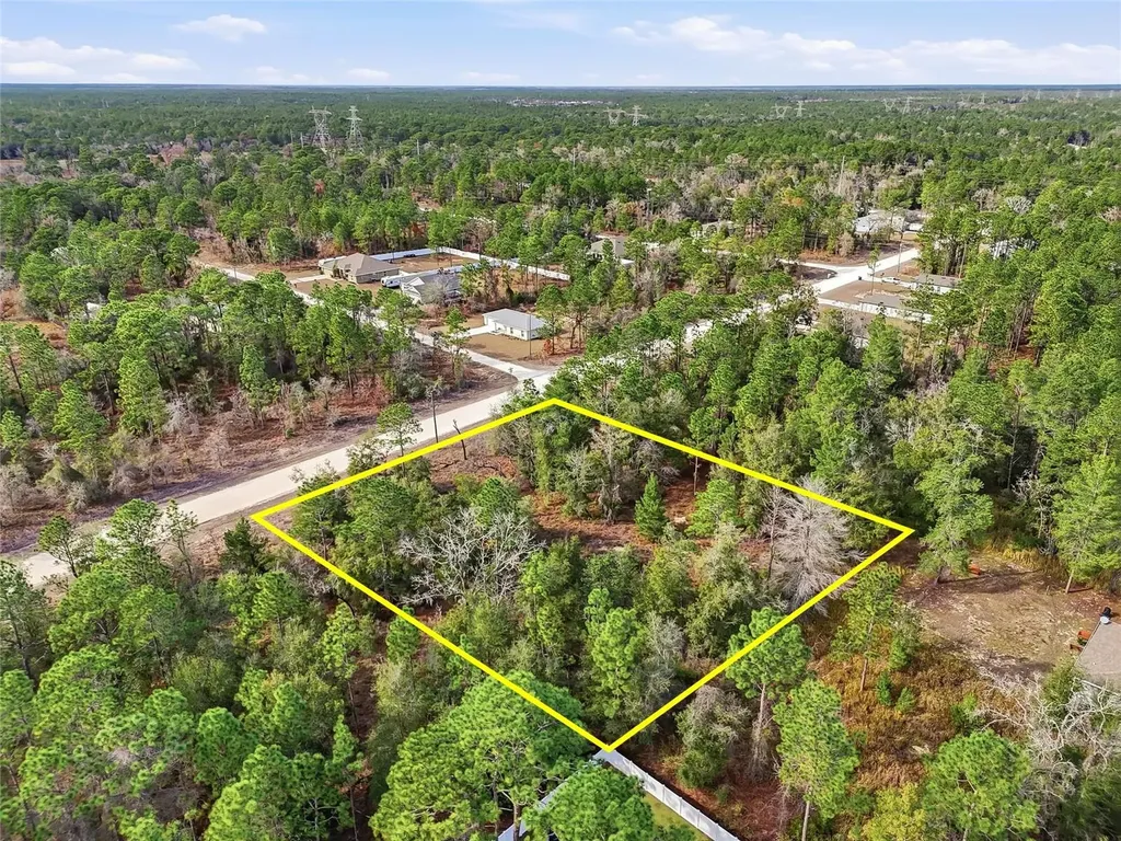 Chimney Swift Road Weeki Wachee FL 34614