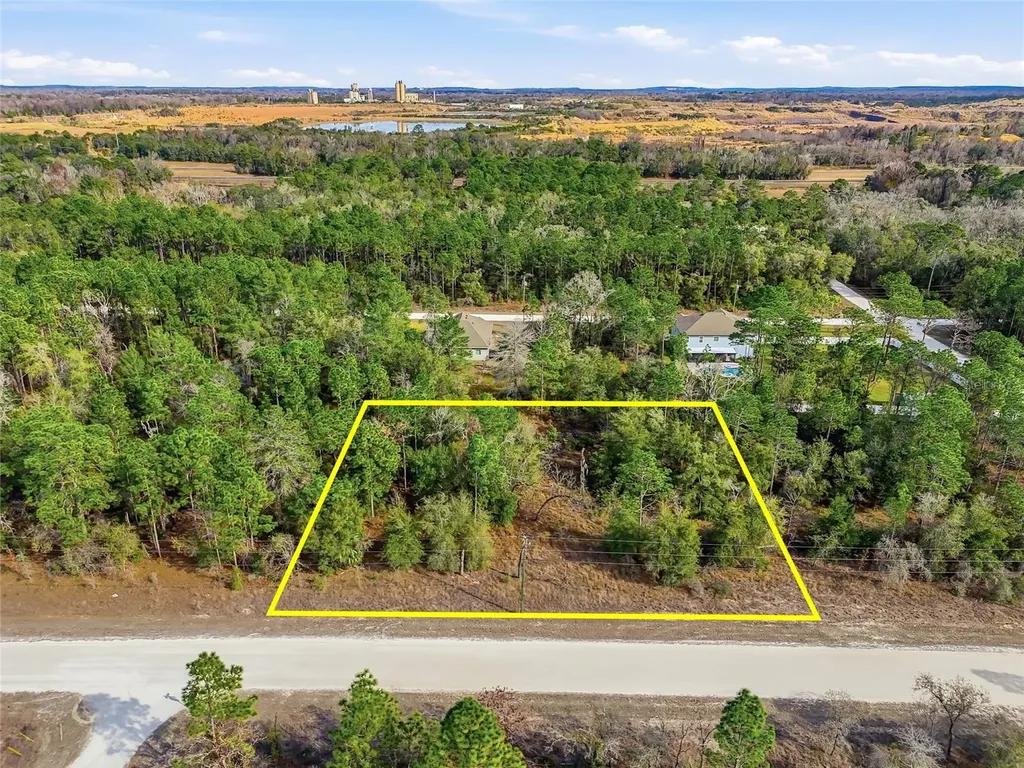 Chimney Swift Road Weeki Wachee FL 34614
