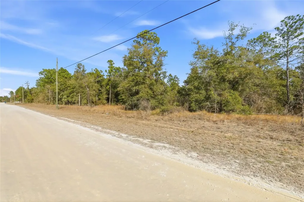 Chimney Swift Road Weeki Wachee FL 34614