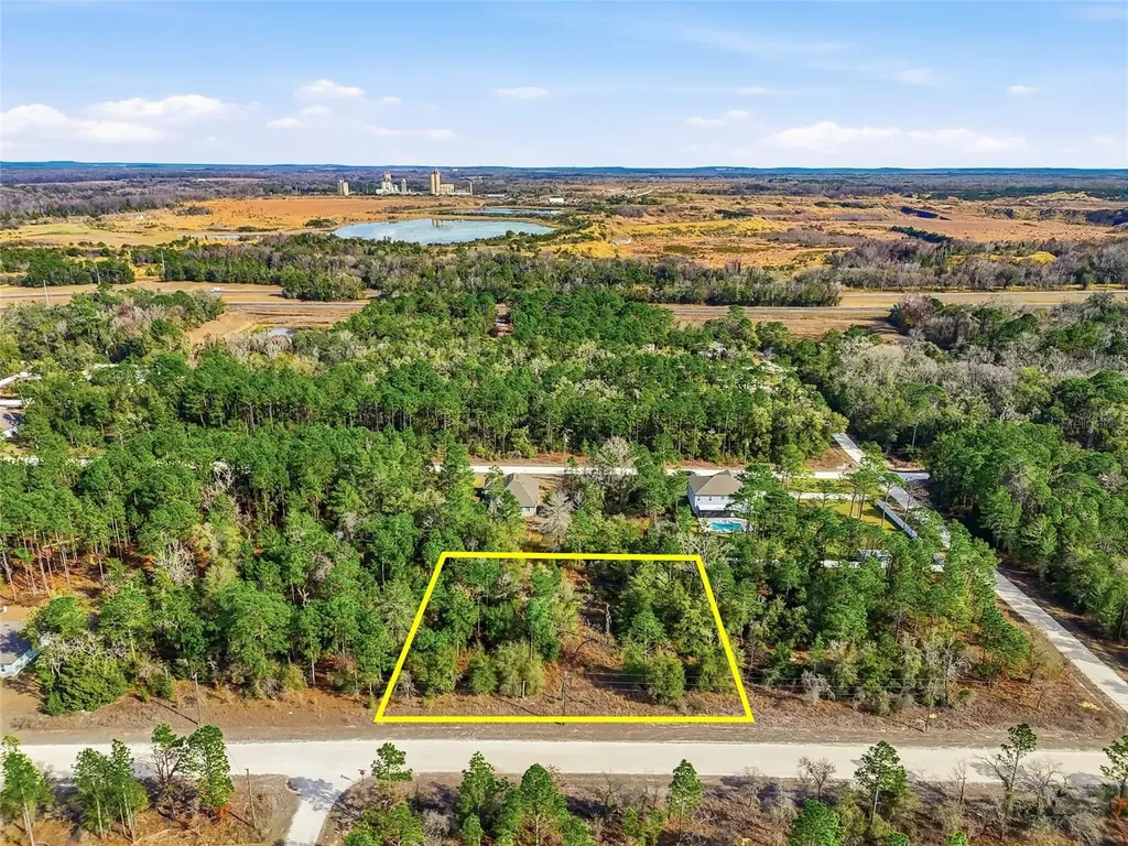 Chimney Swift Road Weeki Wachee FL 34614