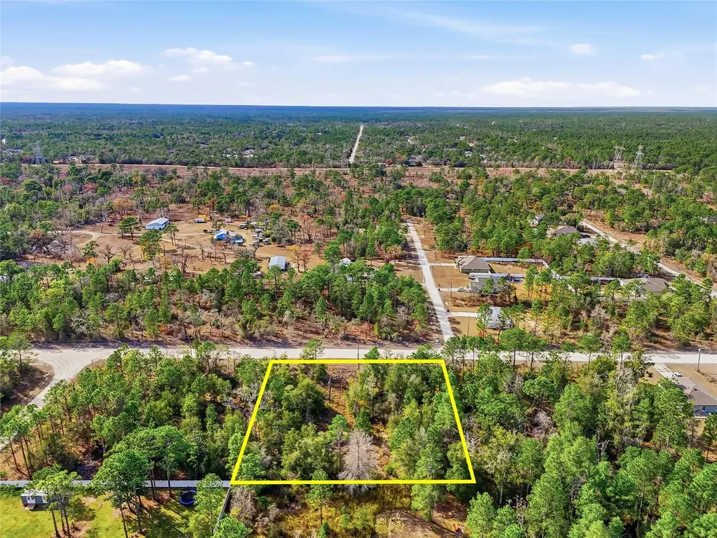 Chimney Swift Road Weeki Wachee FL 34614