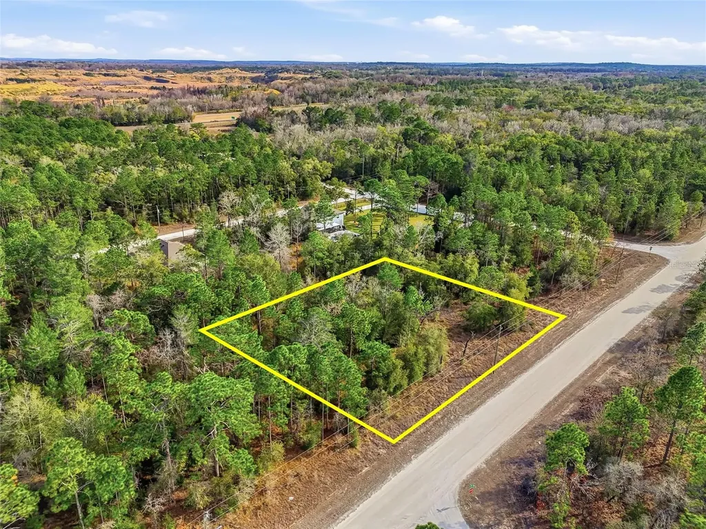 Chimney Swift Road Weeki Wachee FL 34614