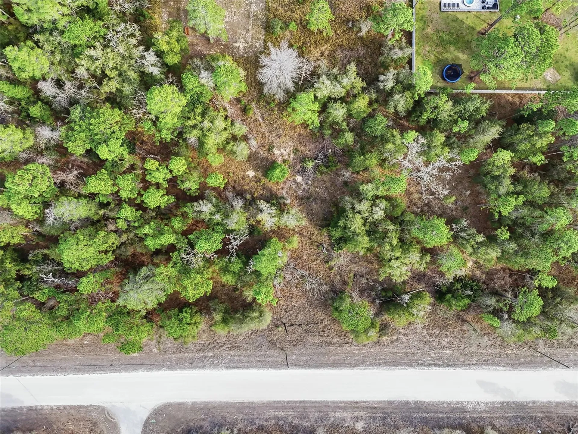 Chimney Swift Road Weeki Wachee FL 34614