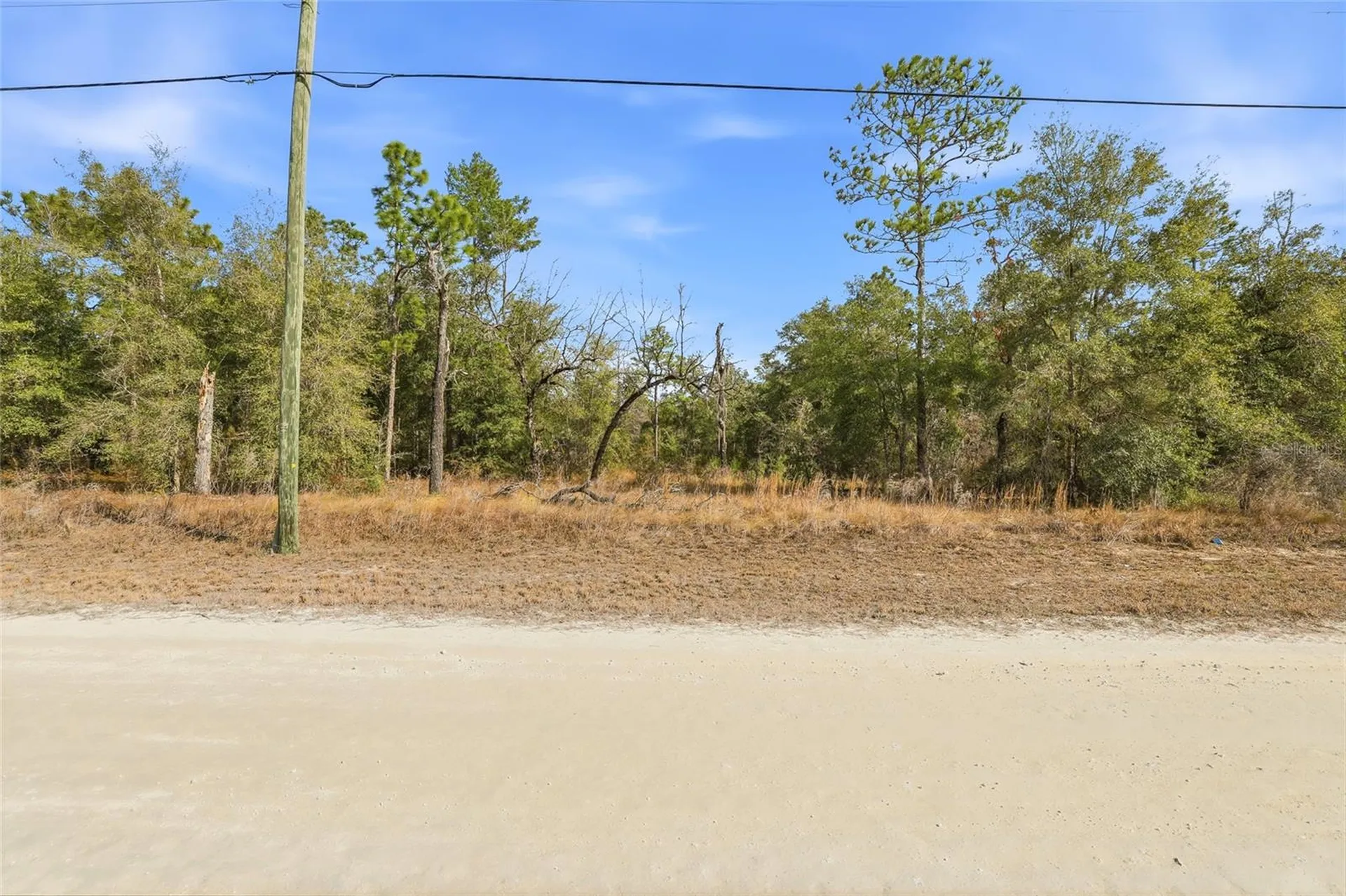 Chimney Swift Road Weeki Wachee FL 34614