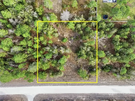 Chimney Swift Road Weeki Wachee FL 34614