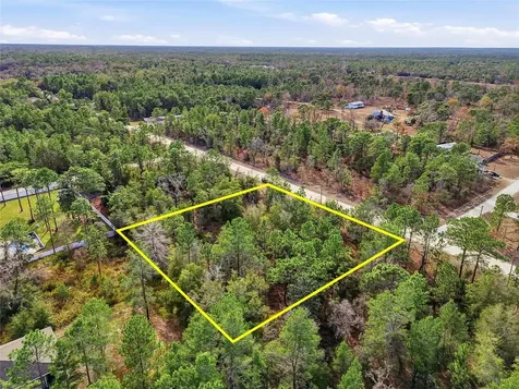 Chimney Swift Road Weeki Wachee FL 34614