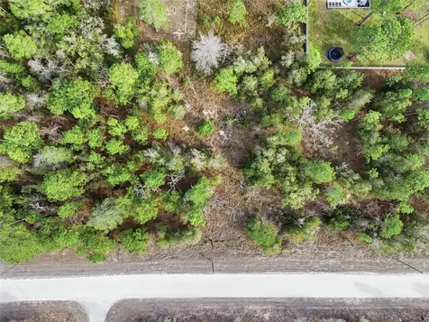 Chimney Swift Road Weeki Wachee FL 34614