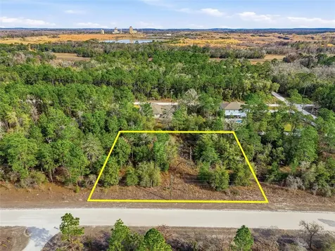 Chimney Swift Road Weeki Wachee FL 34614