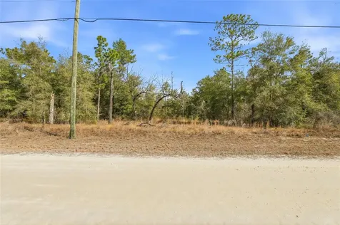 Chimney Swift Road Weeki Wachee FL 34614