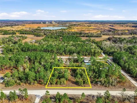 Chimney Swift Road Weeki Wachee FL 34614