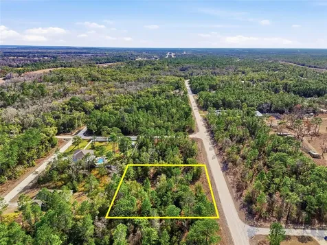 Chimney Swift Road Weeki Wachee FL 34614
