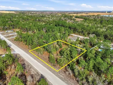 Chimney Swift Road Weeki Wachee FL 34614