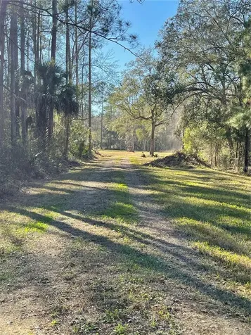 10379 NE Highway 314 Silver Springs FL 34488