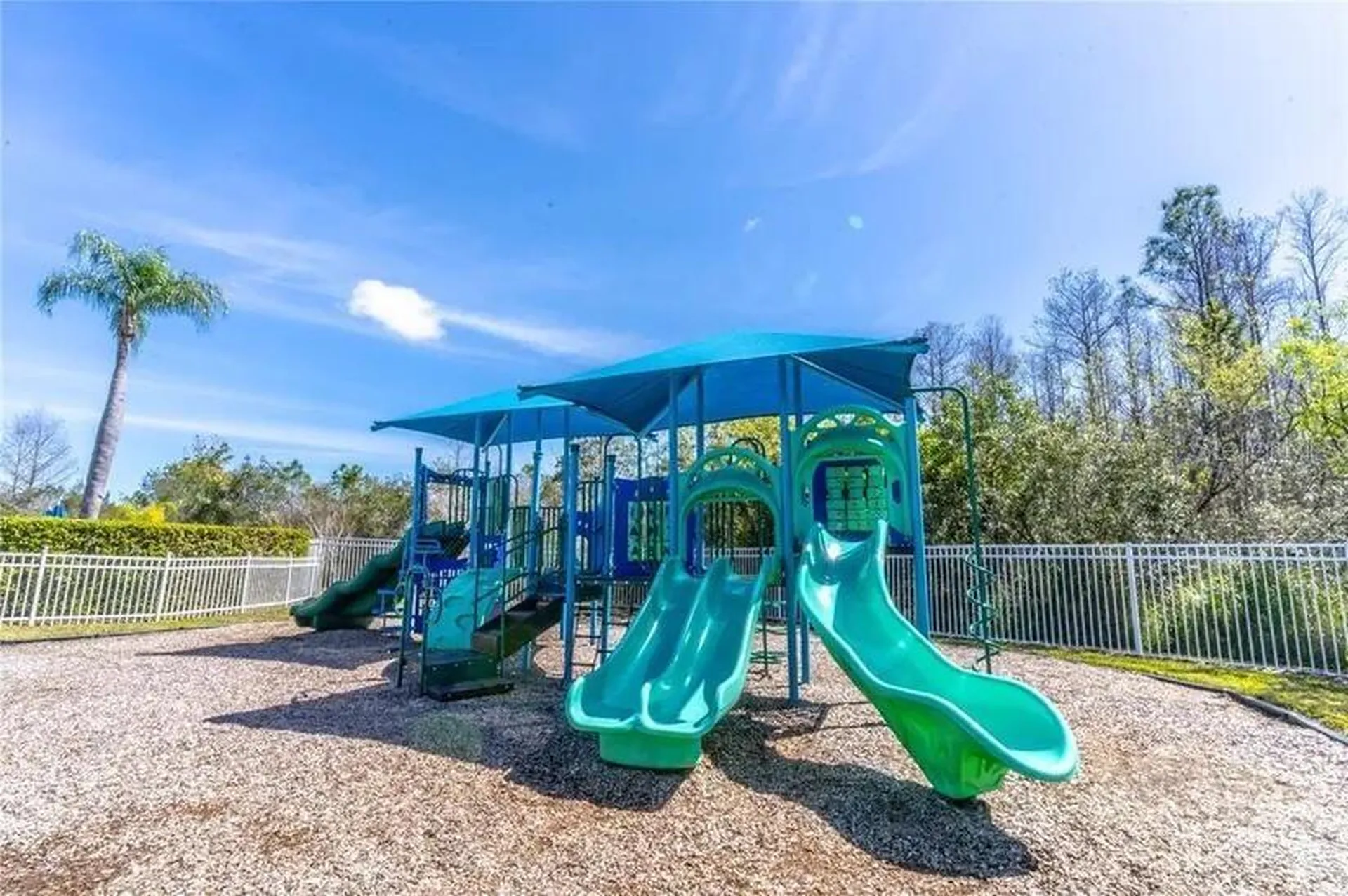 2254 Osprey Woods Circle Orlando FL 32820