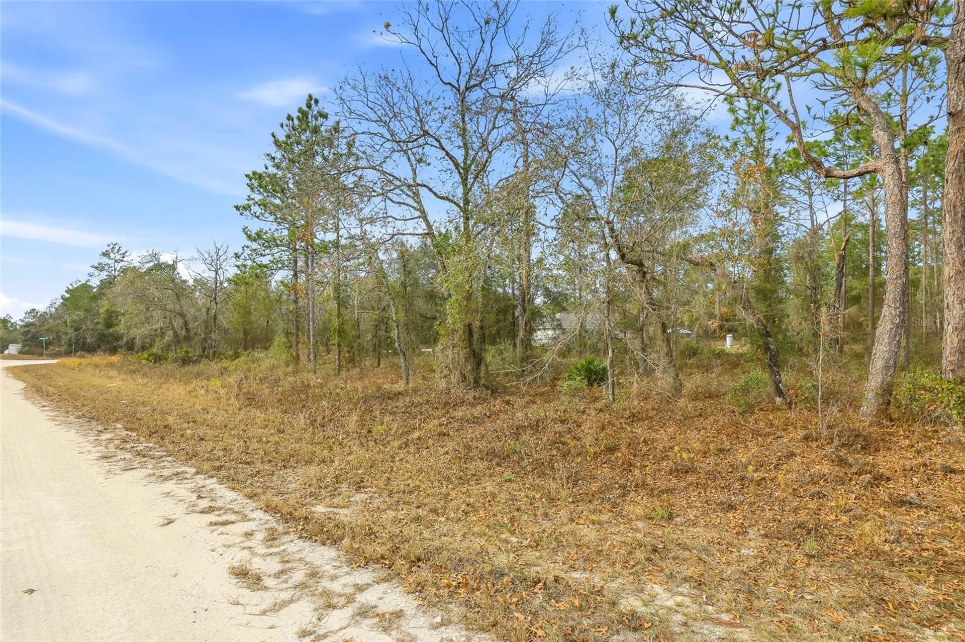 16364 Cayman Road Brooksville FL 34614