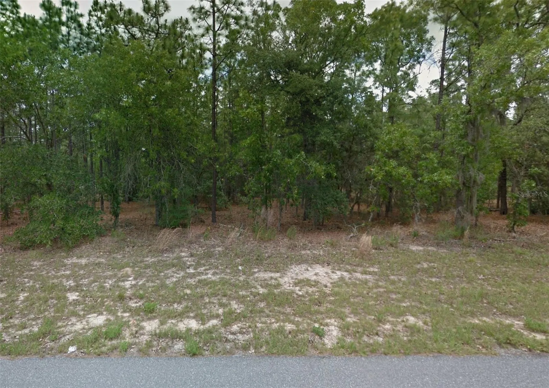 1449 W Omaha Place Citrus Springs FL 34434