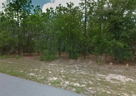 1449 W Omaha Place Citrus Springs FL 34434