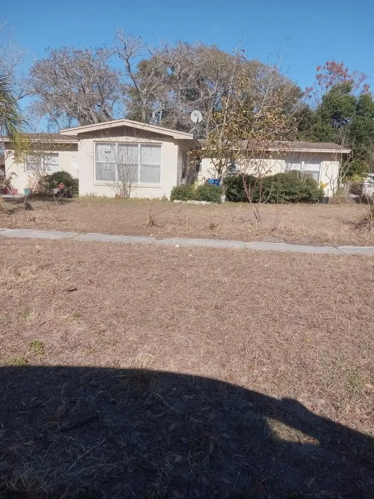 6917 Bream Street Tampa FL 33617