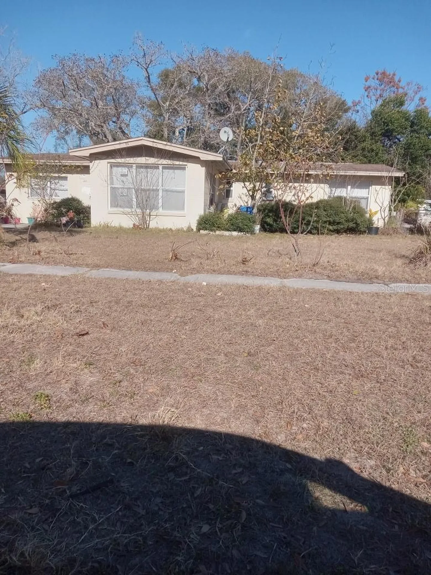 6917 Bream Street Tampa FL 33617