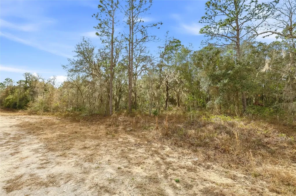 Cayman Road Weeki Wachee FL 34614