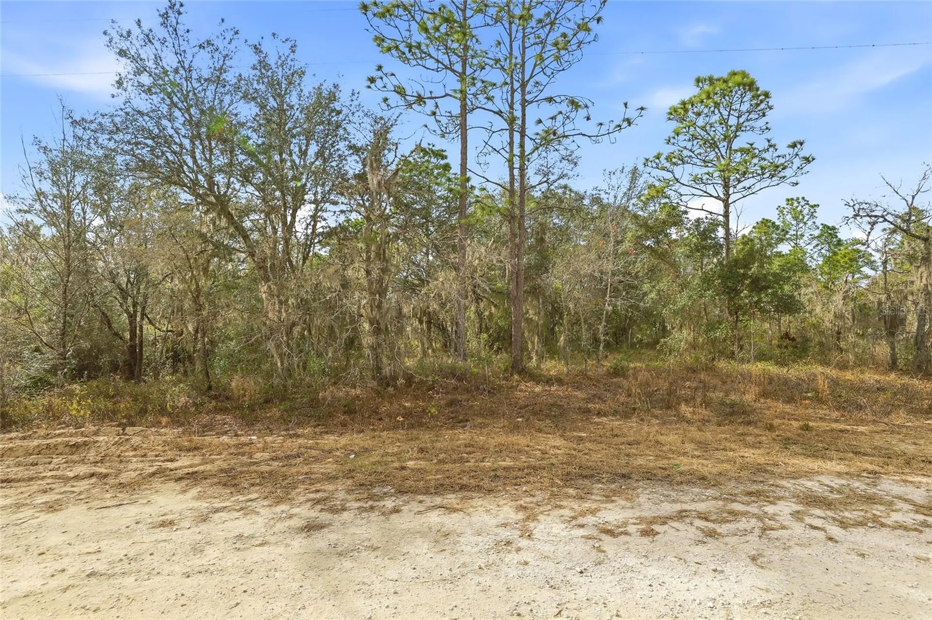 Cayman Road Weeki Wachee FL 34614