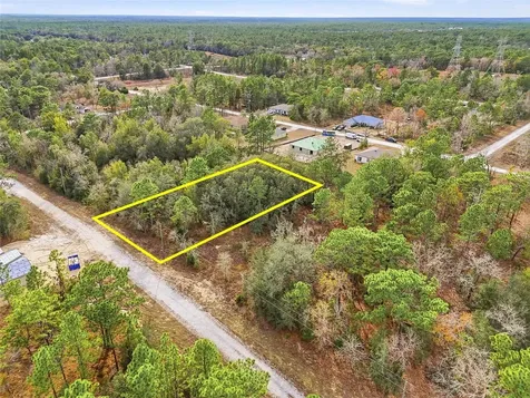 Cayman Road Weeki Wachee FL 34614