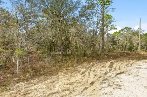 Cayman Road Weeki Wachee FL 34614