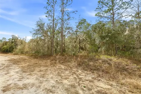 Cayman Road Weeki Wachee FL 34614