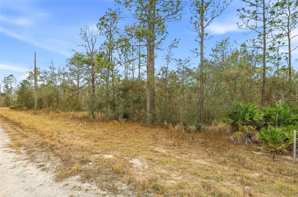 Cayman Road Weeki Wachee FL 34614