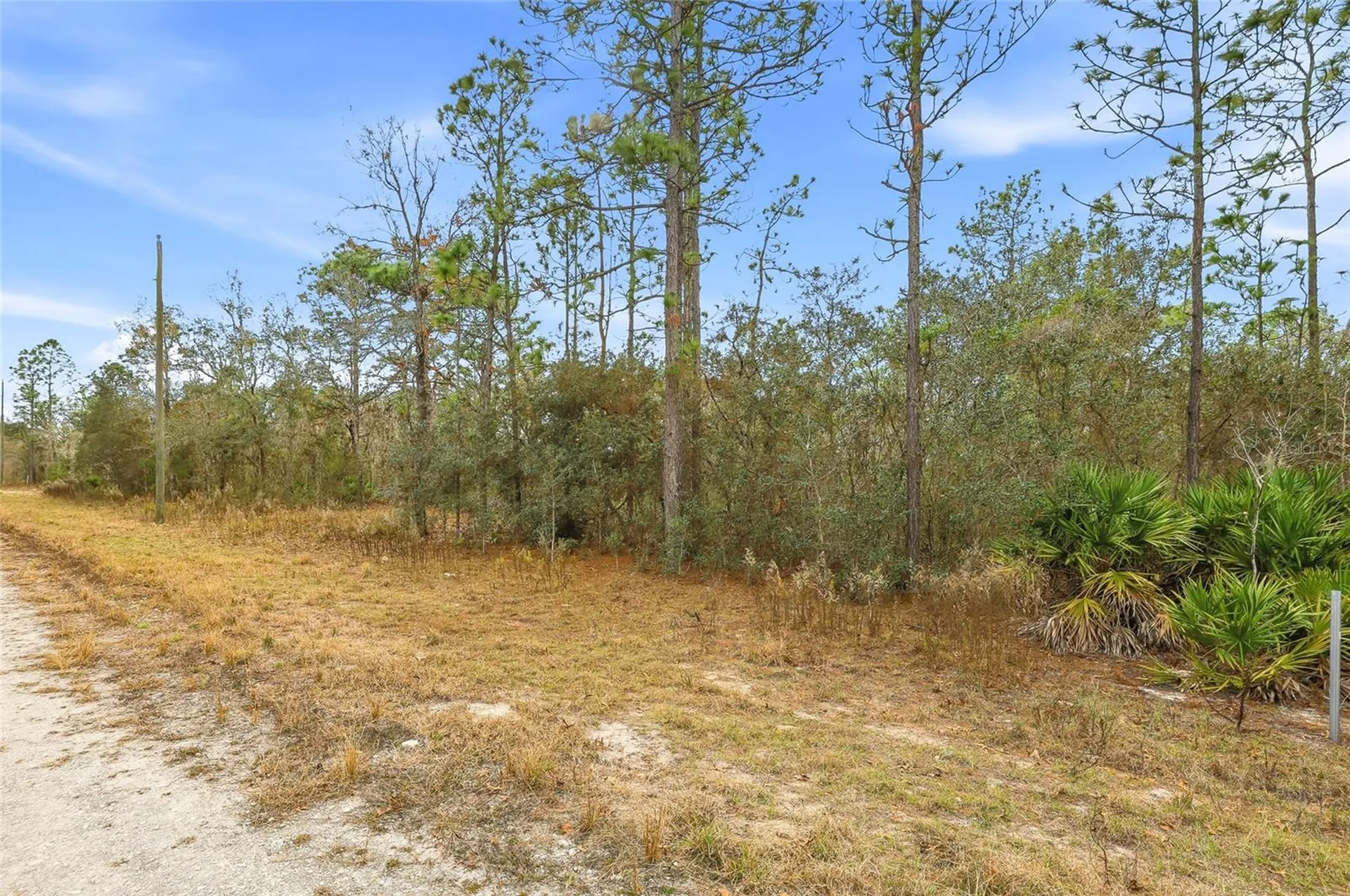 Cayman Road Weeki Wachee FL 34614