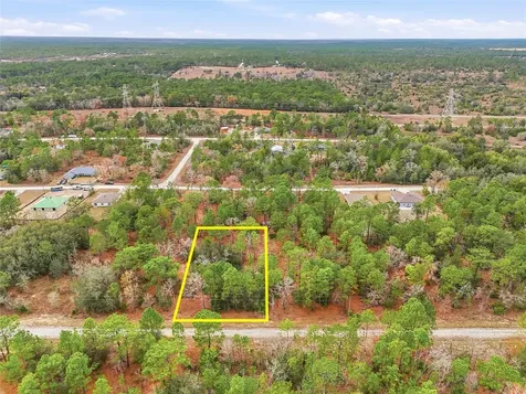 Cayman Road Weeki Wachee FL 34614