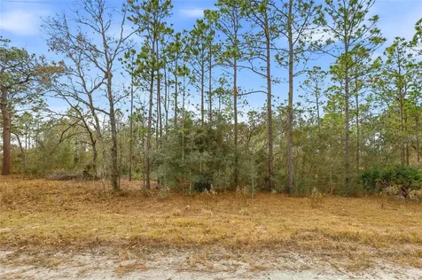 Cayman Road Weeki Wachee FL 34614