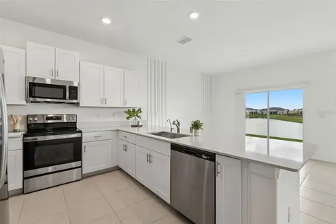 32076 Pop Ash Place Wesley Chapel FL 33545