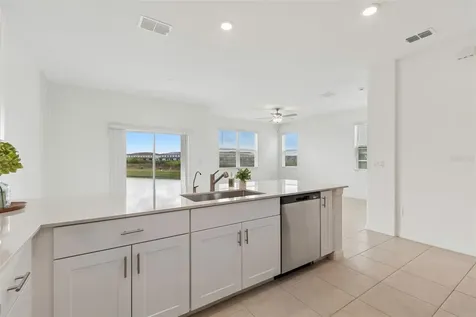 32076 Pop Ash Place Wesley Chapel FL 33545