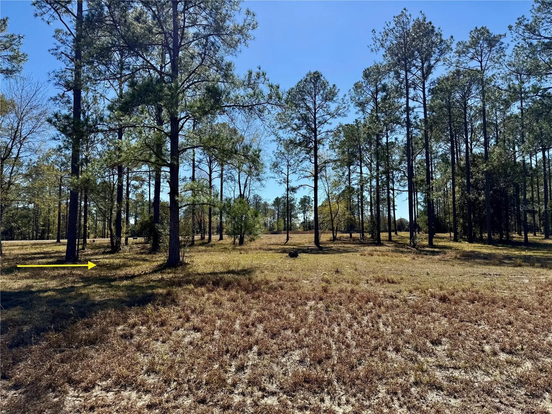 35135 Pinegate Trail Eustis FL 32736
