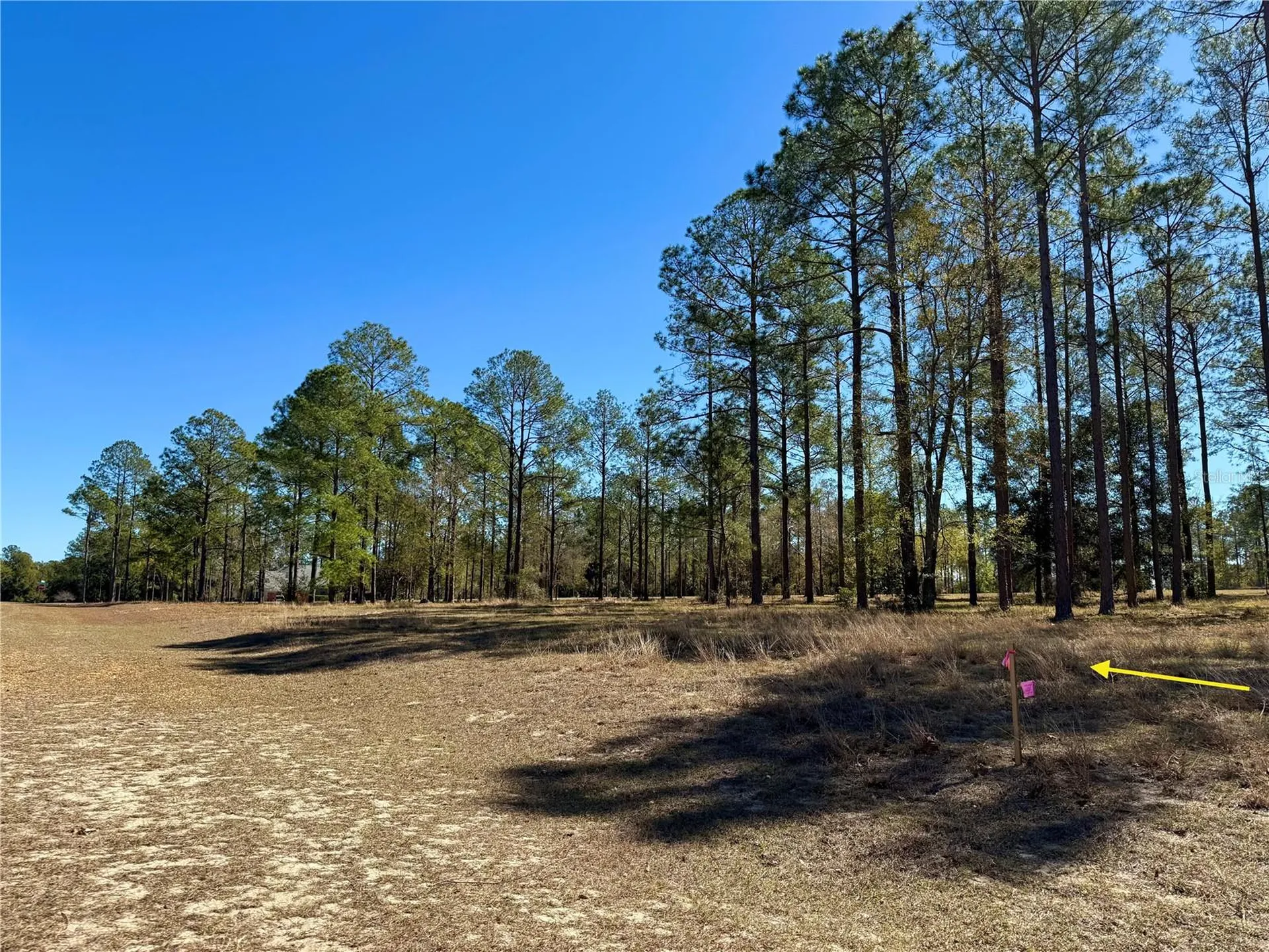 35135 Pinegate Trail Eustis FL 32736