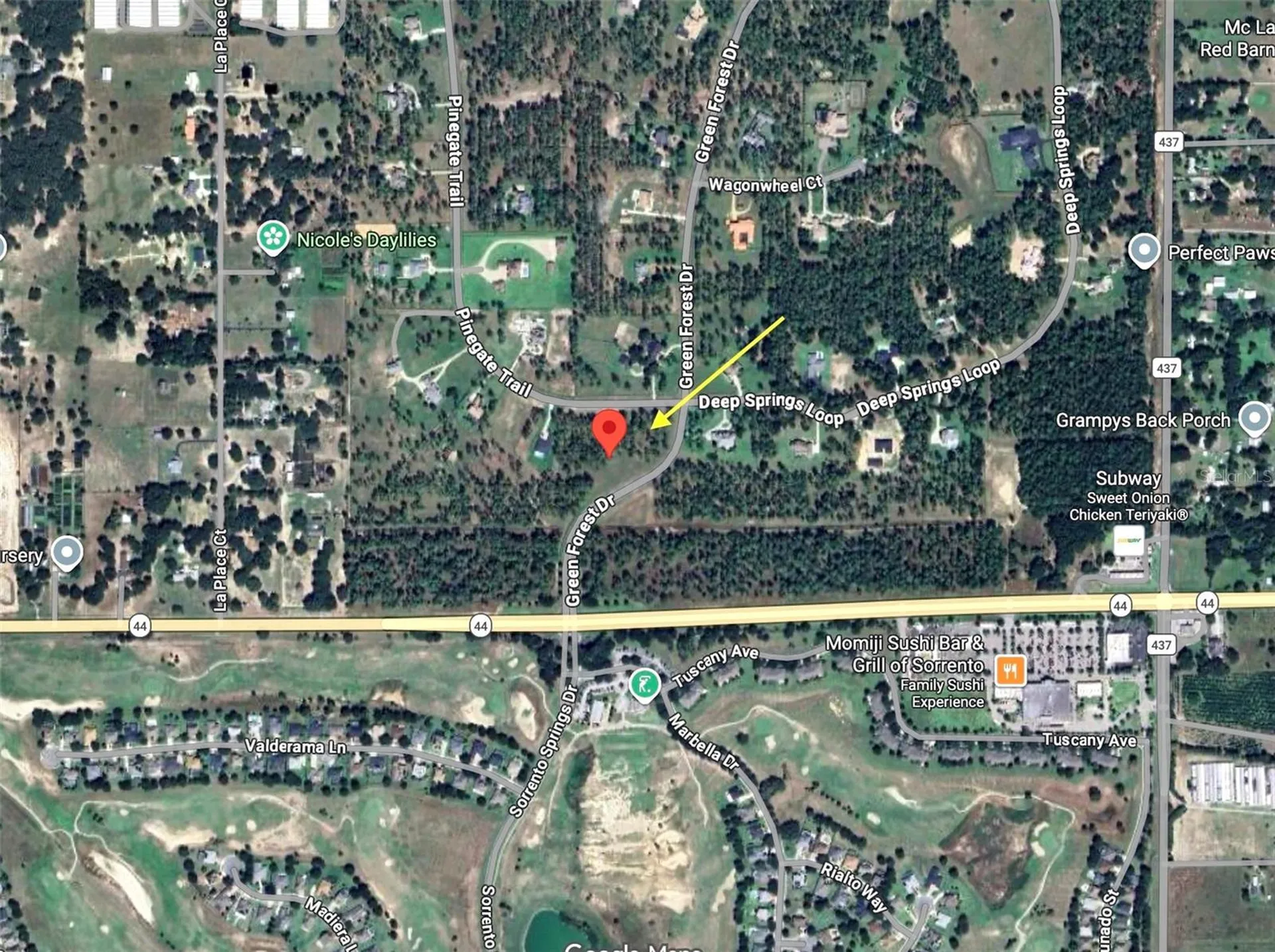 35135 Pinegate Trail Eustis FL 32736
