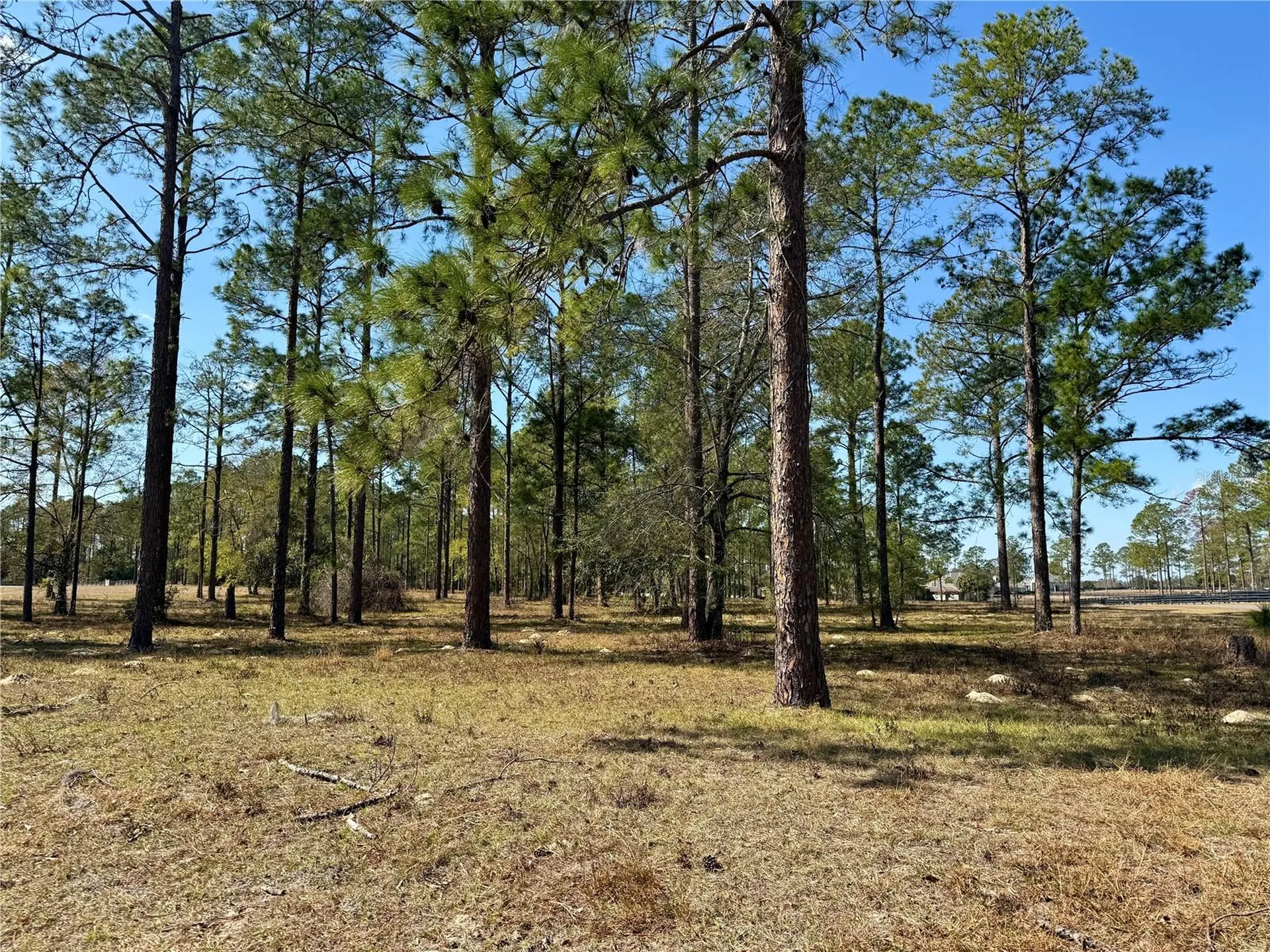 35135 Pinegate Trail Eustis FL 32736