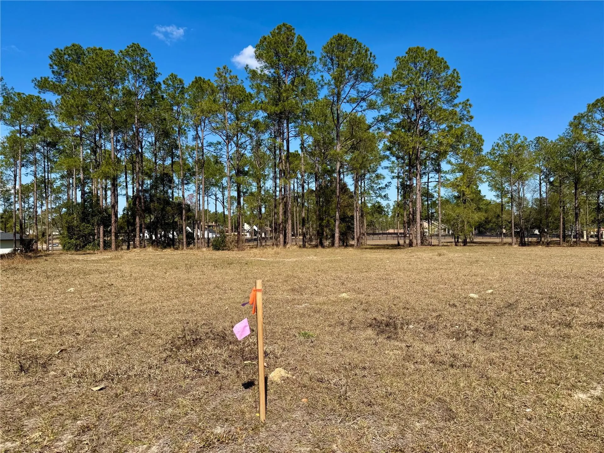 35135 Pinegate Trail Eustis FL 32736