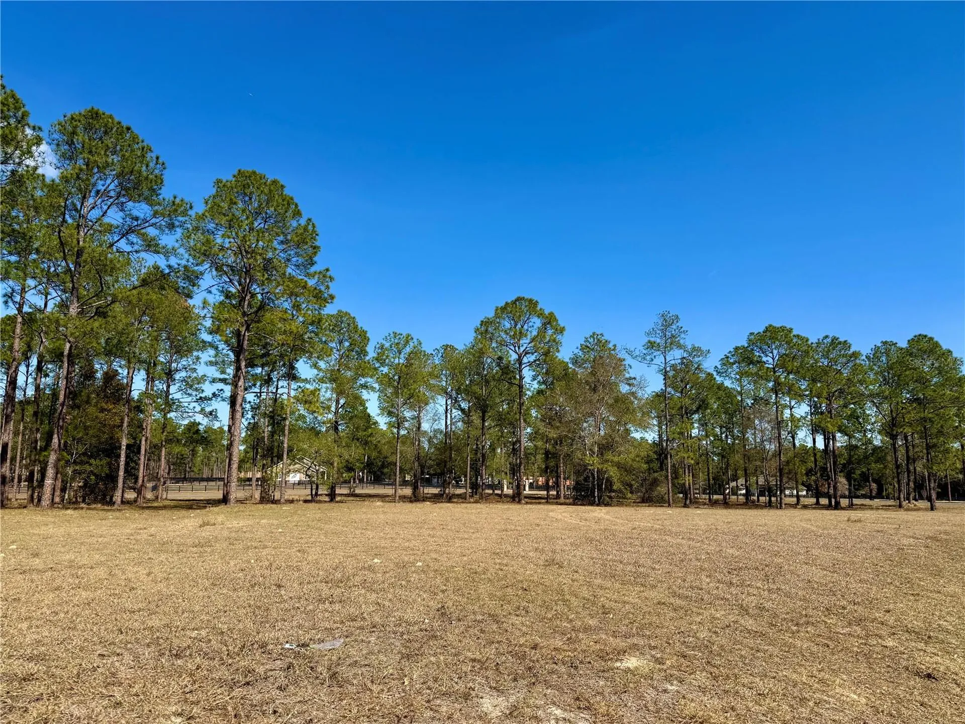 35135 Pinegate Trail Eustis FL 32736