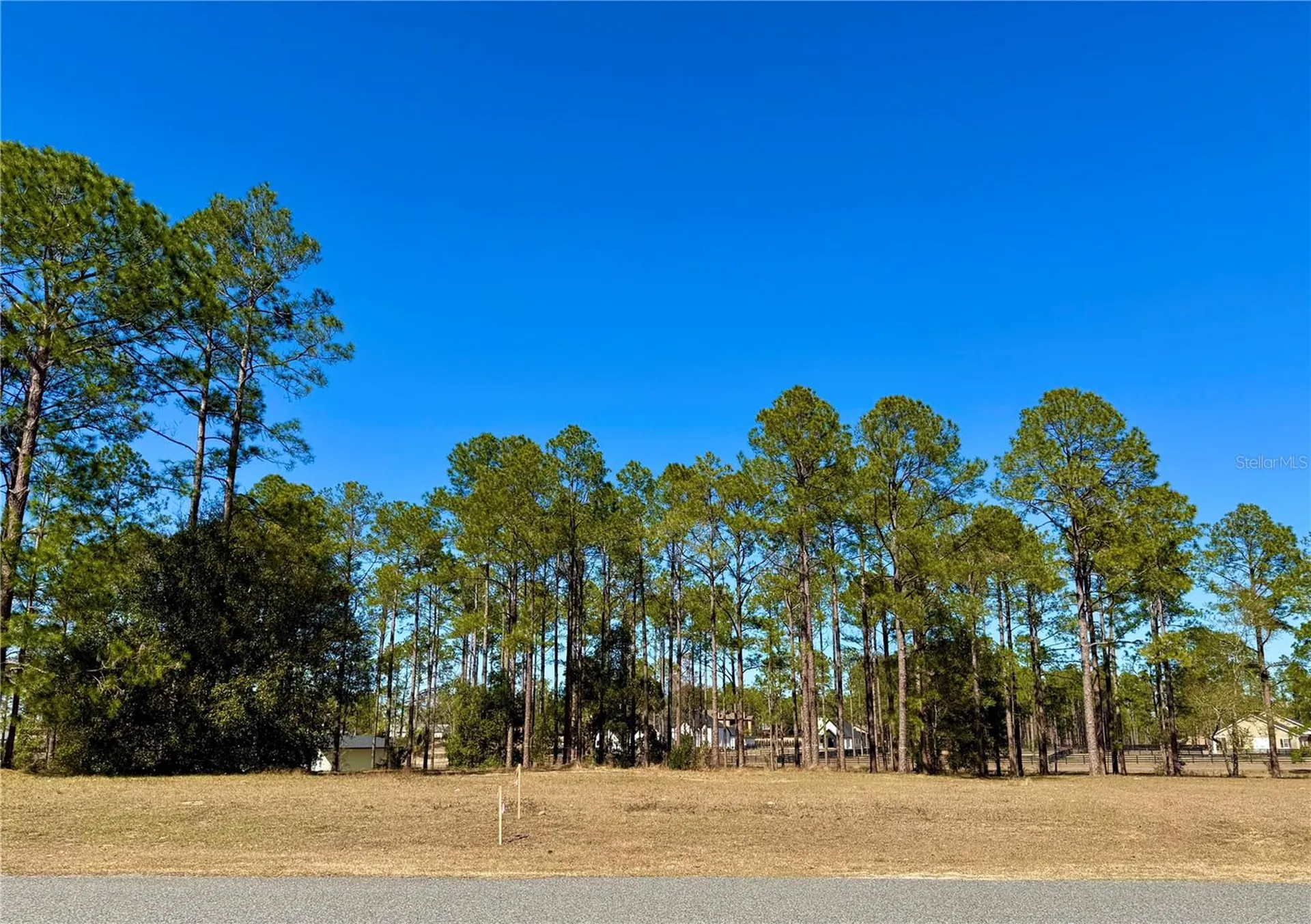 35135 Pinegate Trail Eustis FL 32736