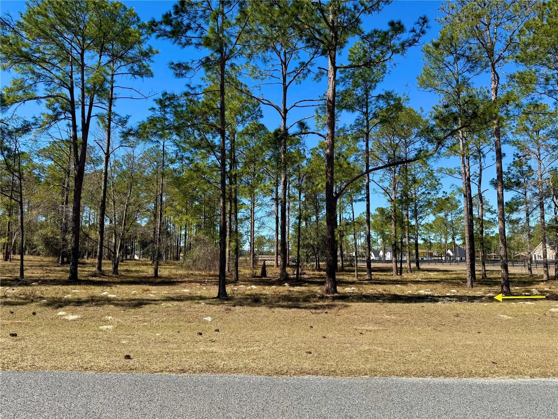 35135 Pinegate Trail Eustis FL 32736