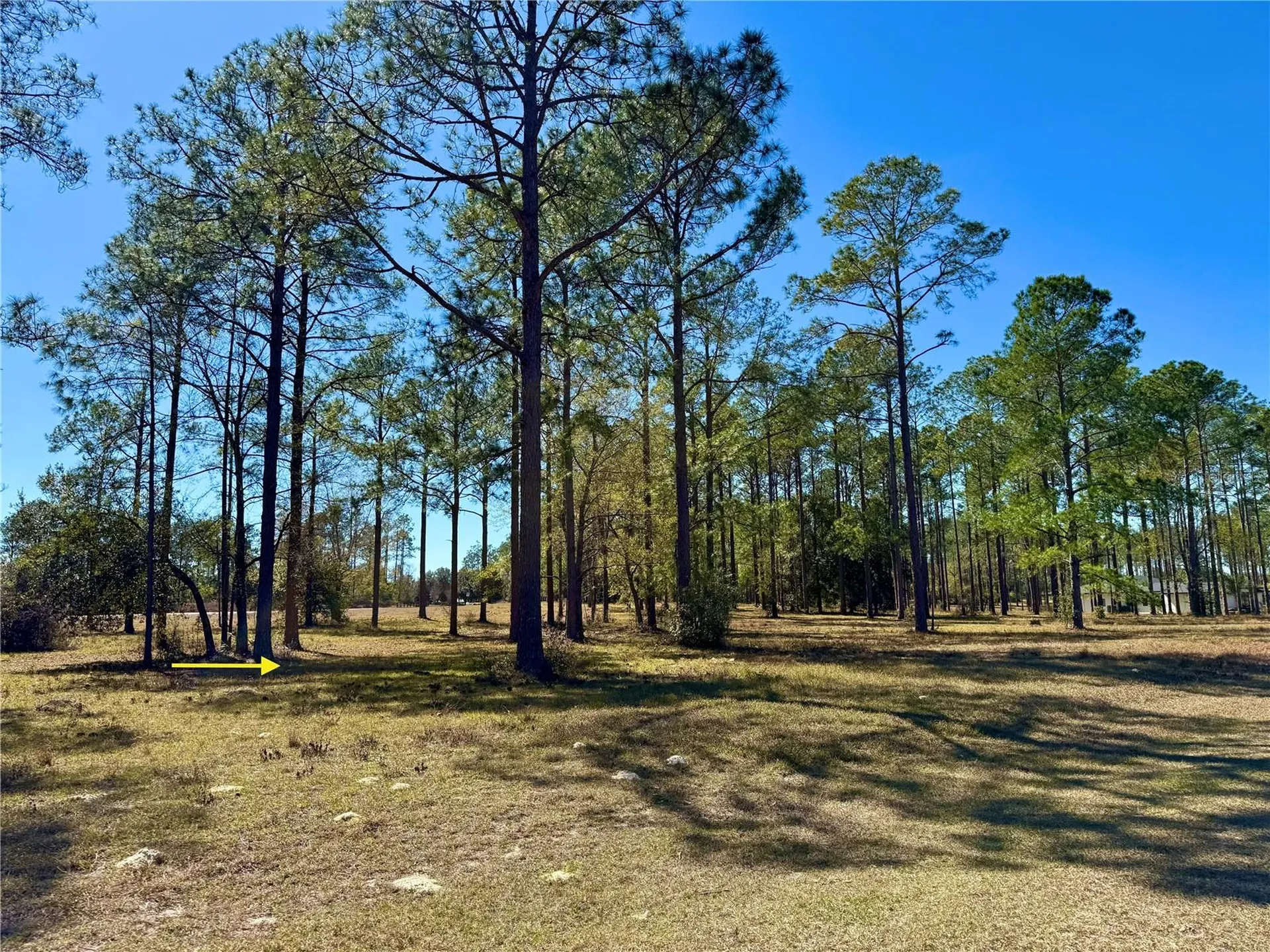 35135 Pinegate Trail Eustis FL 32736