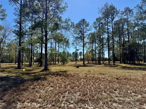 35135 Pinegate Trail Eustis FL 32736
