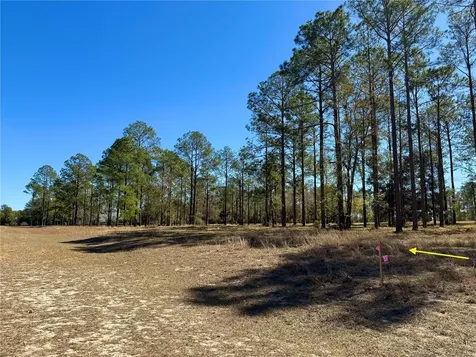 35135 Pinegate Trail Eustis FL 32736