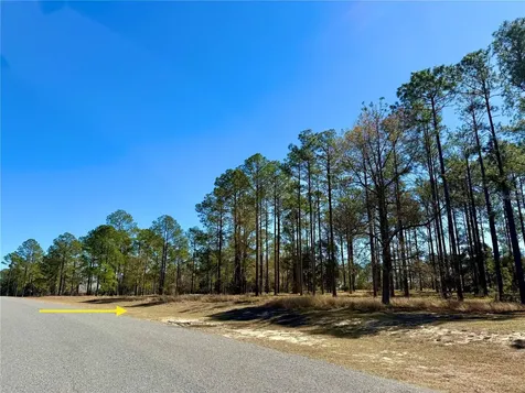 35135 Pinegate Trail Eustis FL 32736