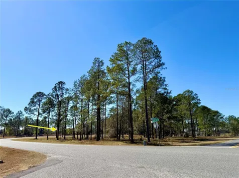 35135 Pinegate Trail Eustis FL 32736